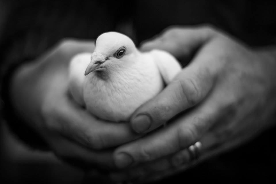 Summer Memorial Service
