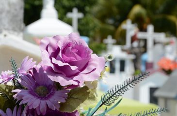 What is Direct Cremation? What You Need to Know