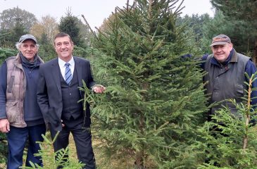 It’s back to normal as we launch our 2021 Memorial Christmas Tree Appeal